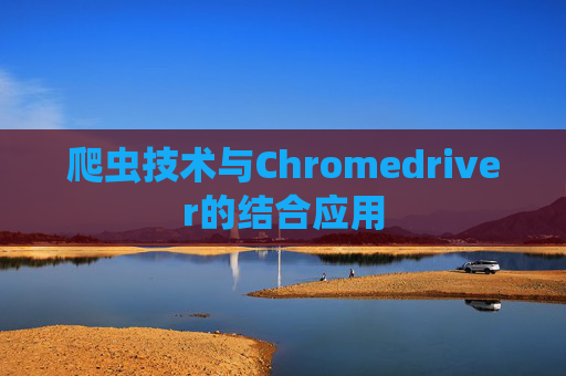 爬虫技术与Chromedriver的结合应用 爬虫技术与Chromedriver的结合应用